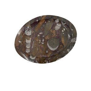 1950s Mid-Century‎ Stone Fossil Plate Orthoceras Sea Shell Ammonite 11.25"X8.5"